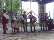  - Stepnicki Festiwal Folklorystyczny - zdjęcie nr 9