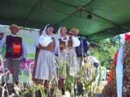  - Dożynki 2009r - zdjęcie nr 9
