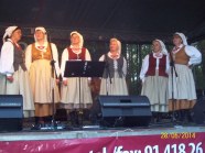  - Jarmark Świętojański - zdjęcie nr 28