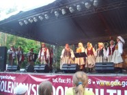  - Jarmark Świętojański - zdjęcie nr 30