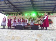  - Lipiany 2014r. - zdjęcie nr 14