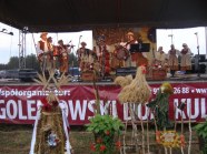  - Dożynki w Żdżarach - zdjęcie nr 14