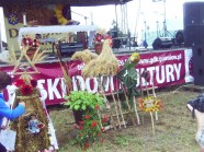  - Dożynki w Żdżarach - zdjęcie nr 2