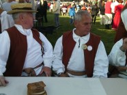  - Wiejski Festiwal Sztuki w Strzelewie - zdjęcie nr 2