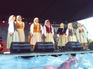  - Wiejski Festiwal Sztuki w Strzelewie - zdjęcie nr 9