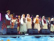  - Wiejski Festiwal Sztuki w Strzelewie - zdjęcie nr 10