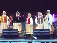  - Wiejski Festiwal Sztuki w Strzelewie - zdjęcie nr 11