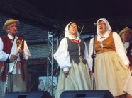  - Wiejski Festiwal Sztuki w Strzelewie - zdjęcie nr 14