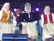  - Wiejski Festiwal Sztuki w Strzelewie - zdjęcie nr 15