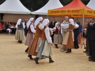  - Dożynki w Witkowie - zdjęcie nr 13