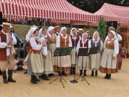  - Dożynki w Witkowie - zdjęcie nr 15