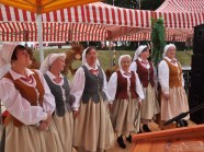  - Dożynki w Witkowie - zdjęcie nr 21