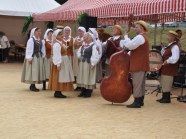  - Dożynki w Witkowie - zdjęcie nr 24