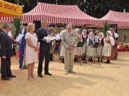  - Dożynki w Witkowie - zdjęcie nr 8