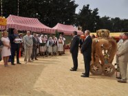  - Dożynki w Witkowie - zdjęcie nr 9