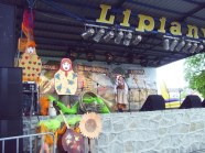  - Lipiany 2010 - zdjęcie nr 5