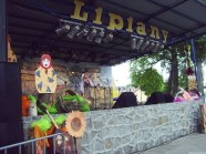  - Lipiany 2010 - zdjęcie nr 6