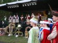  - Dożynki w Bolechowie - zdjęcie nr 8