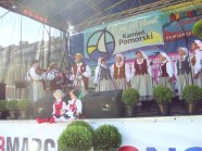  - Kamień Pomorski 2010 - zdjęcie nr 6