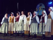  - Prezentacje Artystyczne w Wałczu  - zdjęcie nr 8