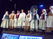  - Prezentacje Artystyczne w Wałczu  - zdjęcie nr 9