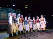  - 17 Ogólnopolski Przegląd ARS we Włocławku (k/Bydgoszczy ) - zdjęcie nr 1