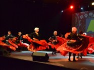  - 17 Ogólnopolski Przegląd ARS we Włocławku (k/Bydgoszczy ) - zdjęcie nr 9