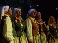  - 17 Ogólnopolski Przegląd ARS we Włocławku (k/Bydgoszczy ) - zdjęcie nr 13