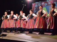  - 17 Ogólnopolski Przegląd ARS we Włocławku (k/Bydgoszczy ) - zdjęcie nr 21