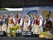  - Dożynki w Komarowie - zdjęcie nr 6