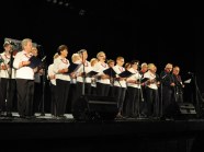  - Przegląd Zespołów Ludowych Raz na Ludowo - zdjęcie nr 4