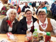  - VIII Festiwal Współczesnej Kultury Ludowej w Leśnej - Swojskie Granie i Śpiewanie  - zdjęcie nr 2