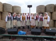  - Dożynki gminne - zdjęcie nr 6