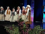  - Goleniowskie Prezentacje Raz na Ludowo - zdjęcie nr 7