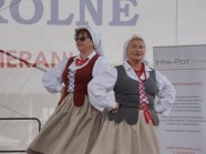  - VIII przegląd Kapel ludowych podczas XXXII Barzkowickich Targów Rolnych AGRO POMERANIA 2019 - zdjęcie nr 8