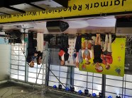  - Międzynarodowe Wielkanocne Spotkania z Folklorem w Łobzie - zdjęcie nr 2