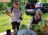  - Udział w XXV Międzynarodowych Spotkaniach Folklorystycznych Nad Iną - zdjęcie nr 7