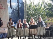  - 41 Międzynarodowy Festiwal w Pyrzycach Spotkania z Folklorem - zdjęcie nr 8