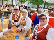  - Przelewice 2023r. - II Festiwal Tradycji Pomorza Zachodniego im. B.Matławskiego - zdjęcie nr 8