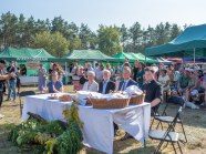  - Dożynki Gminne - Wierzchosław - zdjęcie nr 10