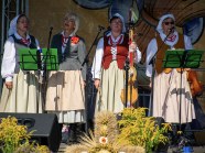  - Dożynki Gminne - Wierzchosław - zdjęcie nr 13