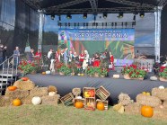  - Przegląd Kapel Ludowych w Barzkowicach - zdjęcie nr 3