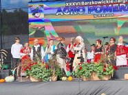  - Przegląd Kapel Ludowych w Barzkowicach - zdjęcie nr 8