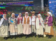  - Przegląd Kapel Ludowych w Barzkowicach - zdjęcie nr 11