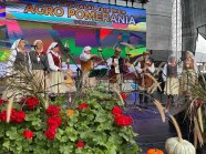  - Przegląd Kapel Ludowych w Barzkowicach - zdjęcie nr 17