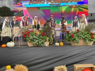  - Przegląd Kapel Ludowych w Barzkowicach - zdjęcie nr 24