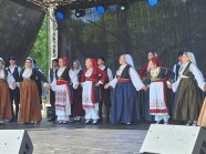  - V Festiwal Hanzeatycki w Goleniowie - zdjęcie nr 6