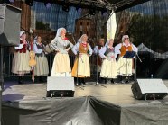  - V Festiwal Hanzeatycki w Goleniowie - zdjęcie nr 10