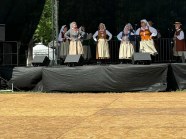  - V Festiwal Hanzeatycki w Goleniowie - zdjęcie nr 11