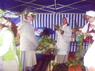  - Festiwal Hanzeatycki 2011 - zdjęcie nr 21